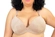 Sutiã Plus Size Miance Com Bojo Aro E Renda - CHO-CHOCOLATE