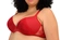Sutiã Plus Size Miance Com Bojo Aro E Renda - RUB-RUBI