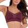 Sutiã Dilady Top Moldado Ultra Adulto Em Microfibra - 125-BAROLO