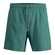 Shorts Praia Mash Masculino Adulto Liso Mesclado Microfibra - VD09-VERDE