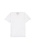 Camiseta Fico Masculina Adulto Básica Lisa Em Meia Malha Cotton - BRANCO-BRANCO