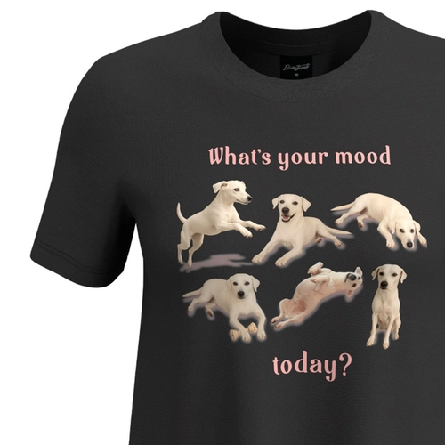 Blusa Manga Curta Elian Feminina Juvenil "Mood" Em Meia Malha Algodão