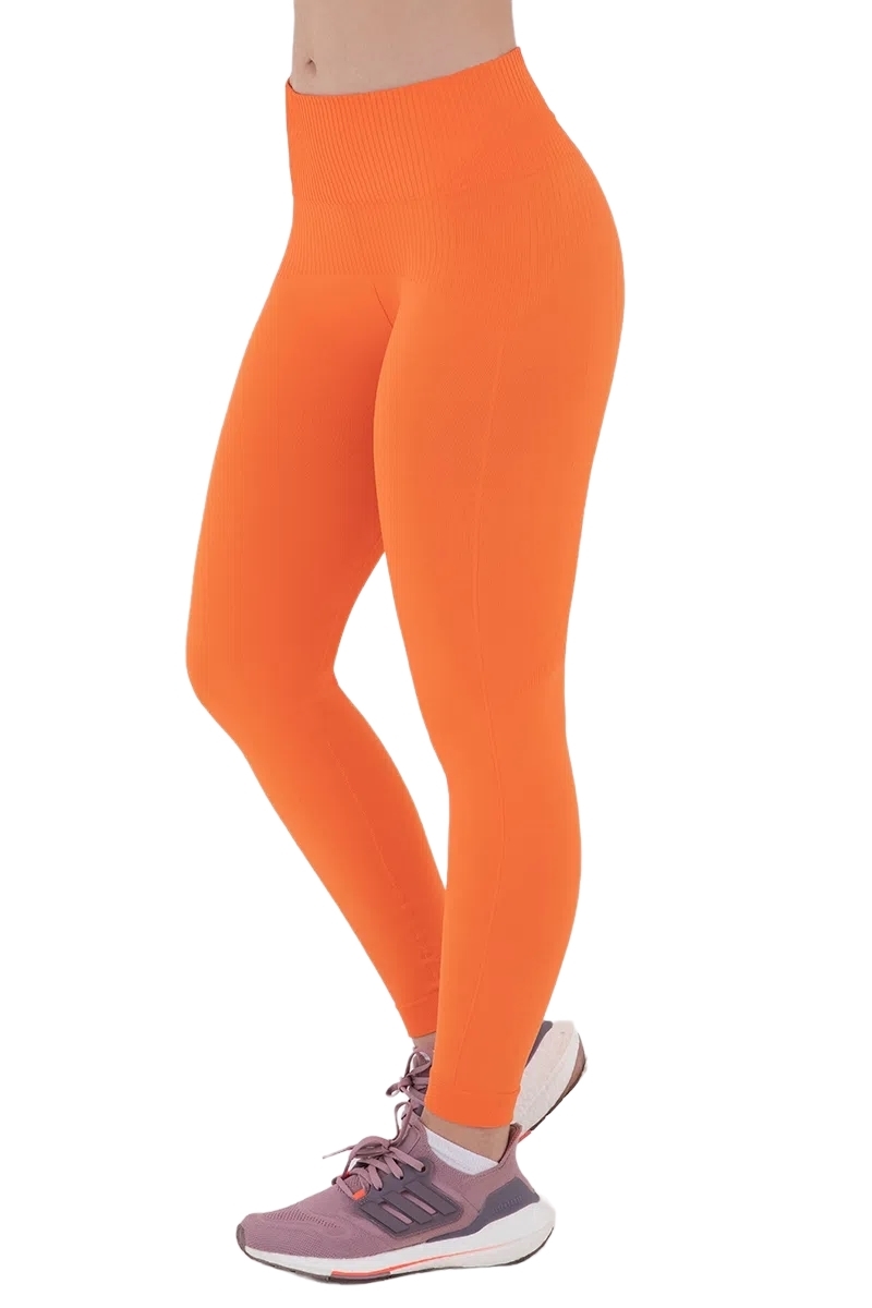 Calça Legging Esportiva Lupo Cintura Alta Basic Seamless - Calça Legging  Esportiva Lupo Cintura Alta Basic Seamless - Lupo